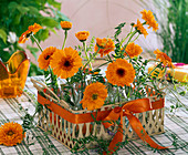 Arrangement of Calendula and Vicia in a flat basket