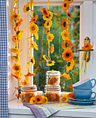 Calendula, threaded flowers hanging from the window, glasses