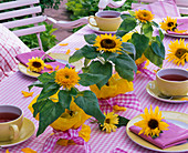 Helianthus (Sonnenblumen) als Tischdekoration