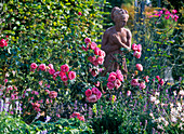 Pink 'Leonardo Da Vinci' (Nostalgic Rose), often flowering