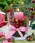 Windlicht mit Malus (Zieräpfeln), rosafarbener Kerze und Schleife