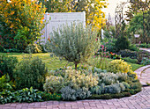 White-silver-gray flowerbed with perennials and potted plants