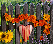Garland of calendula (marigold) on fence, heart