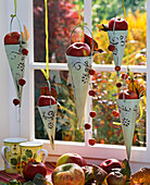 Malus (Äpfel, Zieräpfel) in spitzen Vasen im Fenster hängend, Rubus