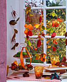 Herbstlaub von Fragaria (Erdbeeren), Acer (Ahorn), Cornus (Hartriegel)