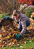 Young woman packing foliage in wicker basket