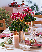 Weihnachtliche Tischdeko mit Cyclamen (Alpenveilchen)