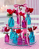 Cyclamen (Cyclamen) in small bottles on tiered stand