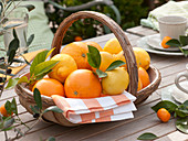 Citrus - Tischdeko