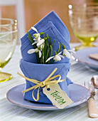 Galanthus in blue folded napkin with name tag