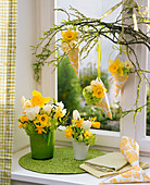 Kleine Sträuße aus Narcissus (Narzissen), Tulipa (Tulpen), Viburnum