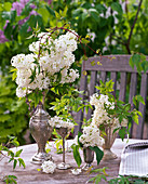 Syringa (lilac) and clematis (clematis) in silver vessels