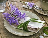 Table decoration with African ornamental lily