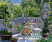 Balkon mit Malus (Apfelbäumen), Sitzgruppe, Korb mit Äpfeln