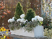 Green-white planted autumn box