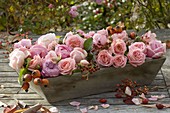 Kleiner Korb aus Holz gefüllt mit Rosa (Rosenblüten und Hagebutten)