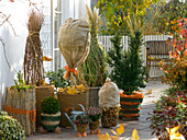 Terrasse mit winterfest verpackten Pflanzen im Kübel