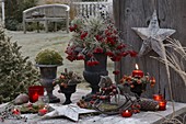 Iron vases with pinus (pine), berries of viburnum (snowball)