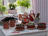 Seedlings in seed trays, soil, clay pots, watering can, broom
