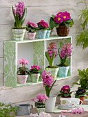 Shelf and pots with napkin technique