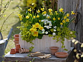 Planting wooden box with yellow and white flowers
