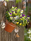 Viola cornuta hung in clay pot, decorated with eggs