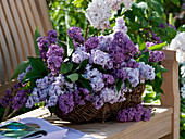 Lilac bouquet in wicker basket
