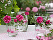 Preserving jars with pink (rose petals), Hedera (ivy) tendrils