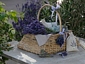 Henkelkorb mit frisch geerntetem Lavandula (Lavendel), Lavendelsäckchen