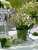 Apple - Table decoration in the summer meadow