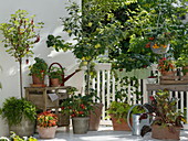 Fruit and vegetable balcony