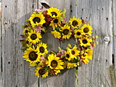 Hängendes Herz aus Sonnenblumen und Fetthenne an Holzwand