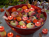 Red swimming bowl with apples and candles
