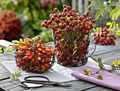 Small wire baskets with rosehips