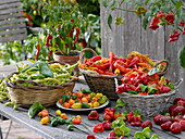 Various harvested peppers and hot peppers in baskets on table
