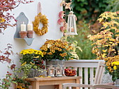 Autumnal balcony with chrysanthemum (autumn chrysanthemum)