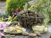 Freshly harvested early potatoes 'Sieglinde' in harvest basket and peeled in water
