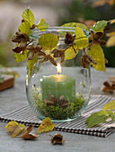 Preserving jar as a lantern with beechnuts, hornbeam leaves and moss