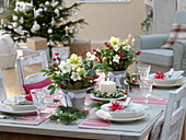Christmas table decoration with Helleborus niger, Ilex verticillata