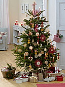 Abies (Nordmanntanne) als Weihnachtsbaum geschmückt mit Strohsternen