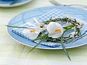 Small wreath of Cytisus with white Crocus flowers