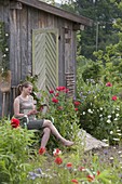 Woman is sitting on chair at garden home with blooming Papaver somniferum