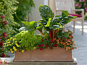 Terracotta box with vegetables and flowers