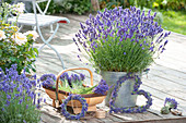 Lavender 'Hidcote Blue' (Lavandula) in zinc bucket