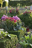 Cottage garden with perennials, vegetables and box hedge