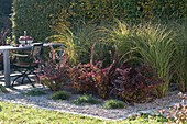 Pebble bed with Miscanthus 'Gracilimus', Berberis thunbergii