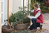 Woman placing herbs in basket for hibernation with autumn leaves