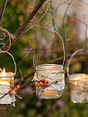 Small glasses hung as a lantern on tree