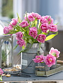Tulipa 'Dior' (gefüllte Tulpen) in Zink-Gefäßen