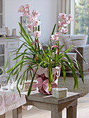Cymbidium with ribbon and paper as a gift